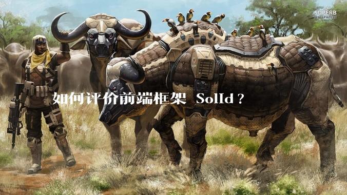 如何评价前端框架 Solid?