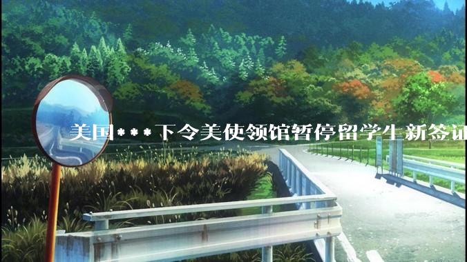 美国***下令美使领馆暂停留学生新签证面谈，将带来哪些影响？美国大学在全球人才竞争中还有优势吗？