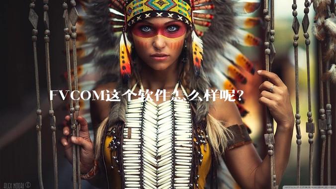 FVCOM这个软件怎么样呢？