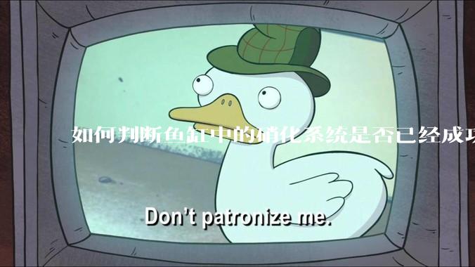 如何判断鱼缸中的硝化系统是否已经成功建立？