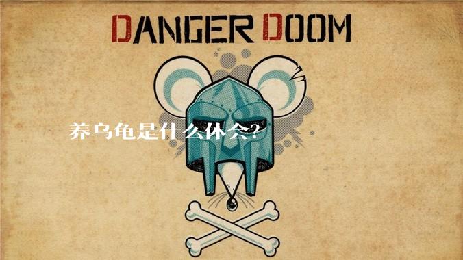 养乌龟是什么体会？