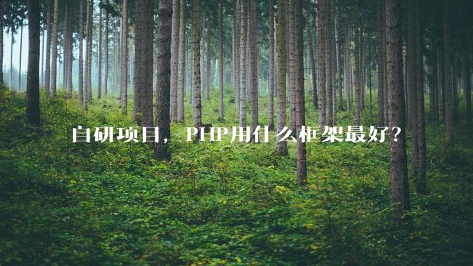 自研项目，PHP用什么框架最好？